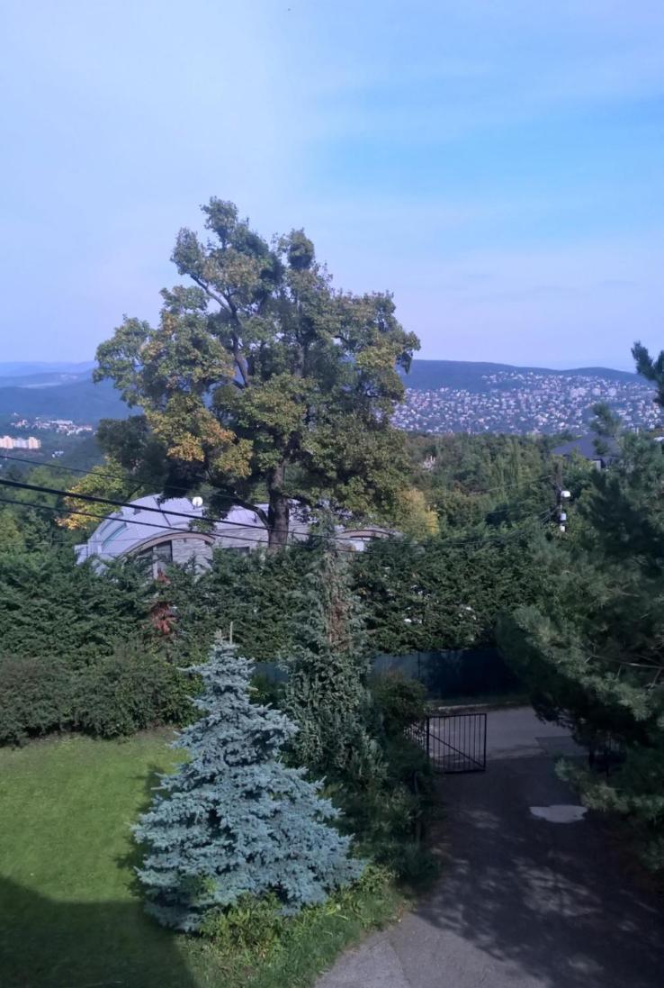 Romantic Two Bedroom Apartments In The Hills Of Budapest With Private Parking Exterior photo
